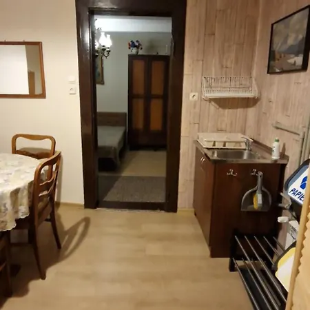 Orkisz דירה זקופאנה